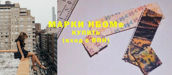 индика Алзамай