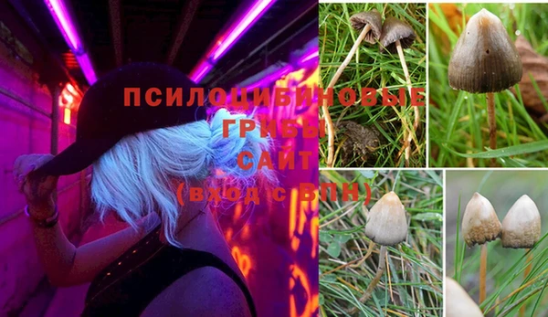 кокаин премиум Алексеевка