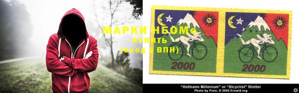 индика Алзамай