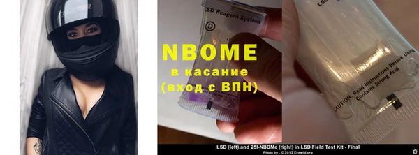индика Алзамай