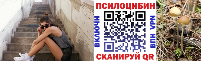 дарнет шоп  Гуково  Галлюциногенные грибы ЛСД 