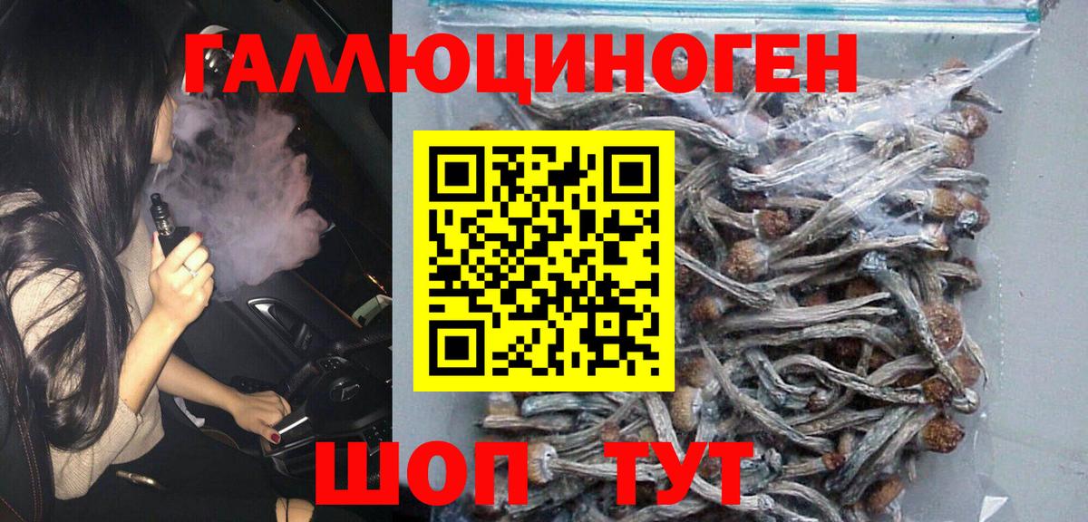 Псилоцибиновые грибы Psilocybe Гуково