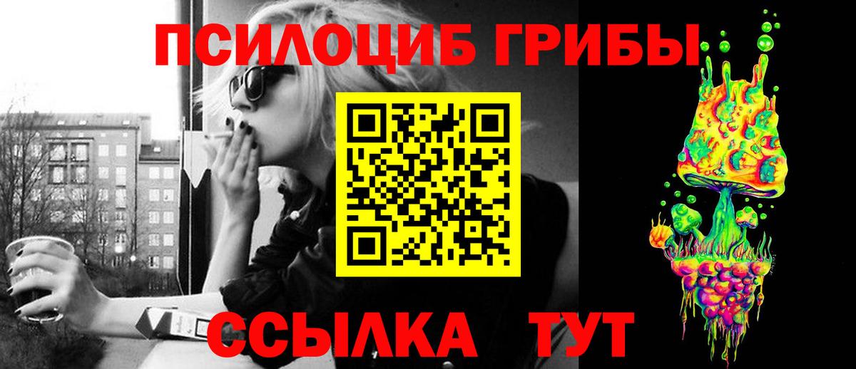 Псилоцибиновые грибы Psilocybine cubensis Гуково