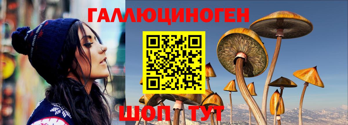 Псилоцибиновые грибы ЛСД  Гуково 