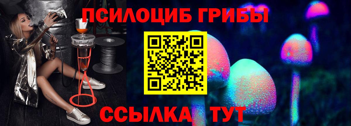 Псилоцибиновые грибы мицелий  Вход с VPN  Гуково 